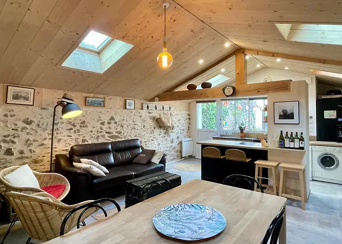 Maison Rénovée, Loft Artiste, Brem Sur Mer, 3 Pers, Wifi - Fr-1-231-336